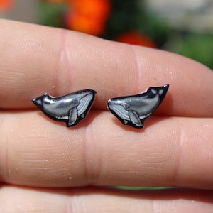 Humpback Whale Stud Earrings: Gift for ocean lover, vet tech, aquarium, zookeeper, veterinarians cute fish earring stainless steel posts