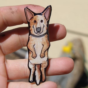May include: A cartoon illustration of a red and white Australian Cattle Dog standing on its hind legs. The dog is smiling and has a black collar. The illustration is printed on a clear acrylic pin.