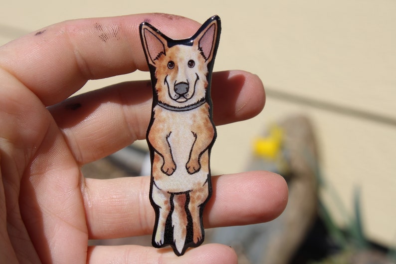 May include: A cartoon illustration of a red and white Australian Cattle Dog standing on its hind legs. The dog is smiling and has a black collar. The illustration is printed on a clear acrylic pin.