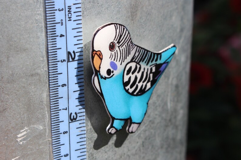 Parakeet Budgie Gift for Bird Lovers Teacher Vet Etsy