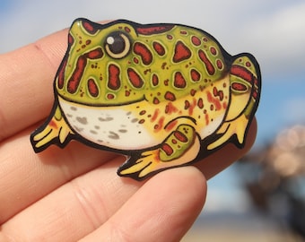 Pacman Frog Magnet: Gift for Frog lover, vet tech, veterinarian, zookeepers cute amphibian animal magnets for locker or fridge