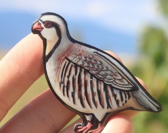 May include: A hand-painted, detailed, and realistic illustration of a red-legged partridge, a type of bird, on a white background. The bird is depicted in a standing position with its wings folded.