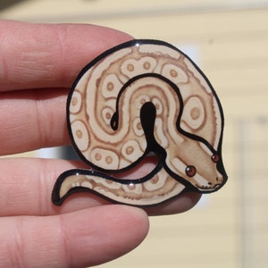 May include: A close-up of a brown and white patterned snake curled up in a circle. The snake has black eyes and a red tongue.