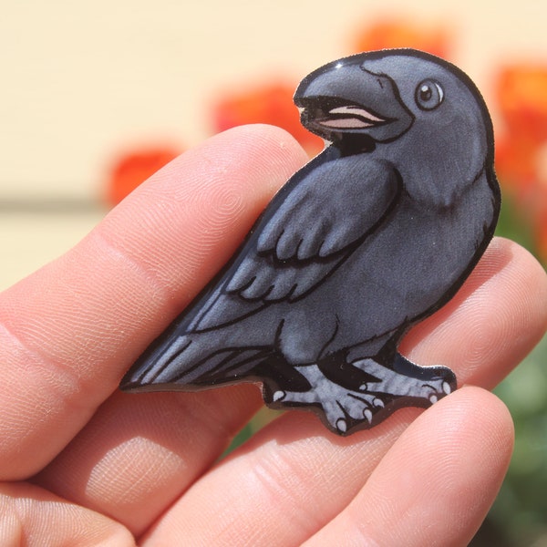 Crow Raven magnet: Gift for bird lovers, vet techs, veterinarians, zookeeper's cute animal magnets for locker or fridge