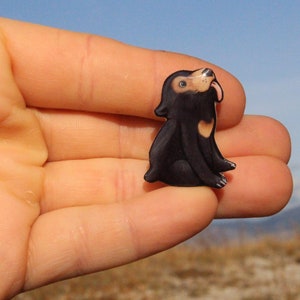 Baby Sun Bear Magnet: Gift for bear lovers, vet techs, veterinarians, teachers, zookeepers cute animal magnets for locker or fridge