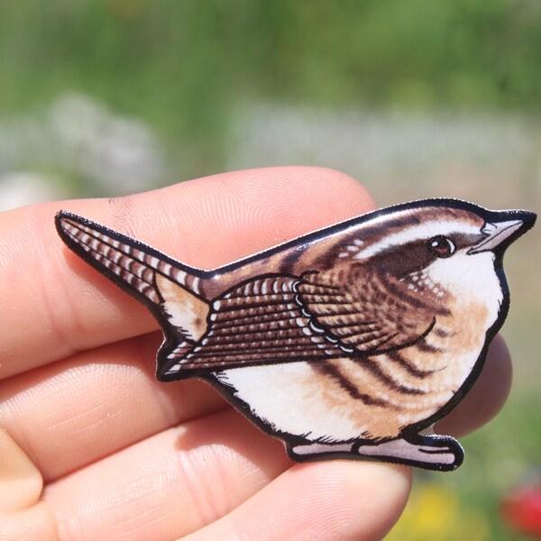 Wren Magnet: Gift for Bird watchers, vet techs, veterinarians, zookeepers cute animal magnets for locker or fridge