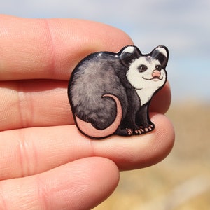 Opossum Magnet: gift for possum lovers, vet techs, veterinarian, zookeepers cute animal magnets for locker or fridge