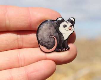 Opossum Magnet: gift for possum lovers, vet techs, veterinarian, zookeepers cute animal magnets for locker or fridge