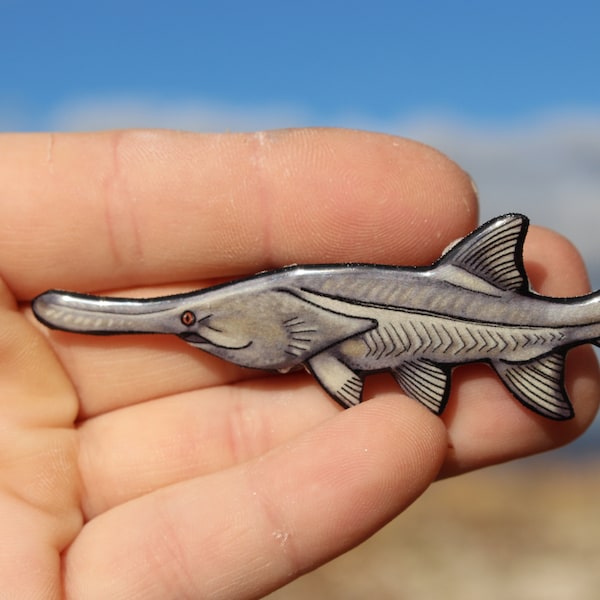 Paddlefish Magnet: Gift for fish lovers, teachers Gamefisher, fishermen, fisherwomen teachers, cute animal magnets for locker or fridge