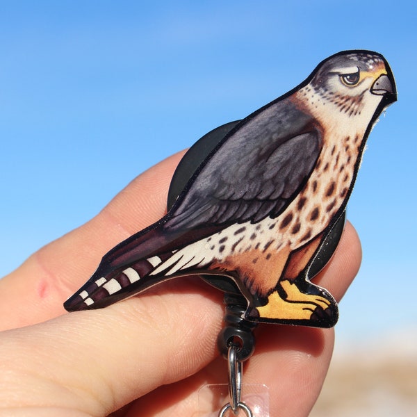 Merlin Pigeon Hawk Badge Reel: ID holder Gift for Bird of Prey lovers, Nurses, vet techs, veterinarians, zookeepers animal bird badge reels