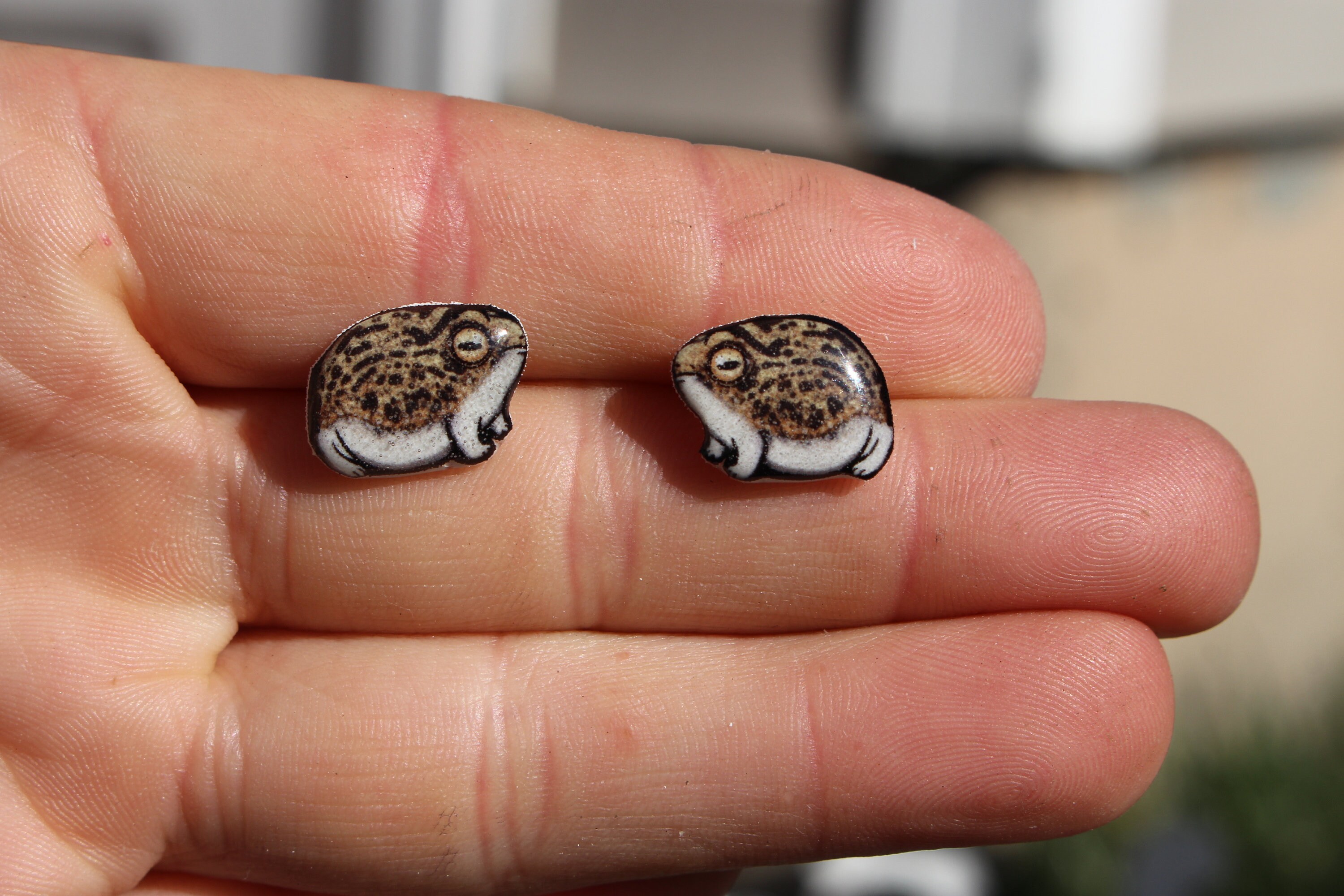 Desert rain frog earrings deals