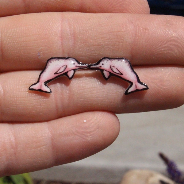 Amazon River Dolphin : Stainless steel posts for sensitive ears Great gift for Freshwater pink dolphin lovers Cute animal earring studs