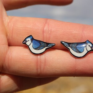 Blue jay earrings sale
