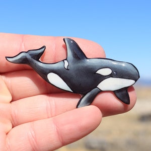 Orca Magnet: Gift for whale lovers, vet techs, zookeepers, veterinarian cute ocean animal magnets for locker or fridge