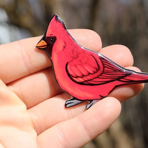 Cardinal Magnet: Gift for Cardinal lovers or Bird watchers Cute Bird animal magnets for locker or fridge
