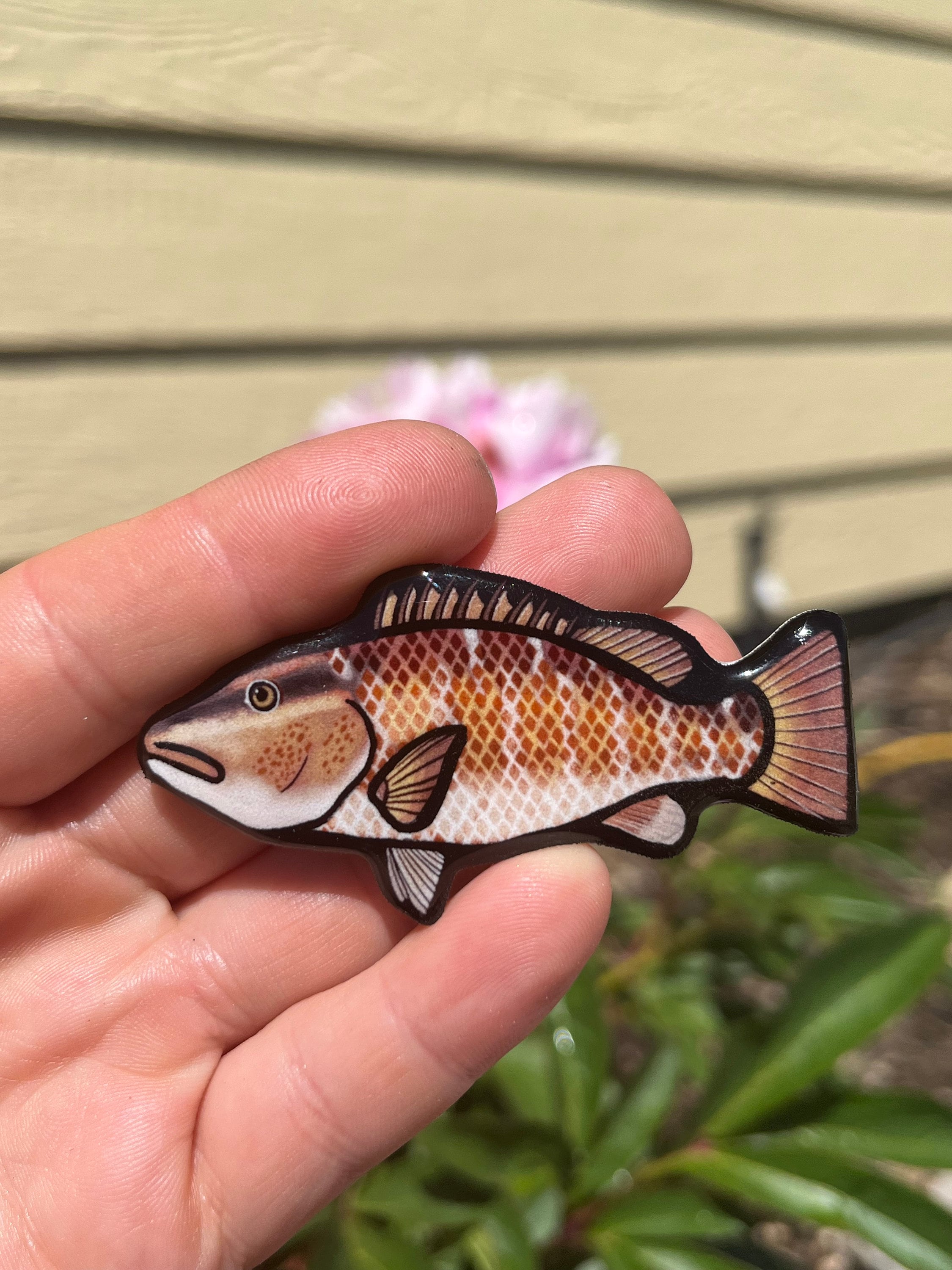 Mangrove Snapper Fish Magnet: Gift for Fisherman Women, Game Fish