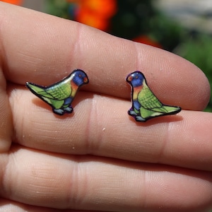 Lorikeet stud Earrings : Gift for bird lover, vet techs, veterinarian, zookeeper cute animal parrot earrings with Stainless Steel Posts