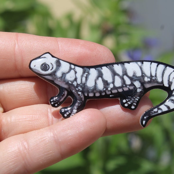 Marbled Salamander: Gift for Newt lover, vet tech, veterinarian, zookeeper Cute Animal magnets for locker or fridge