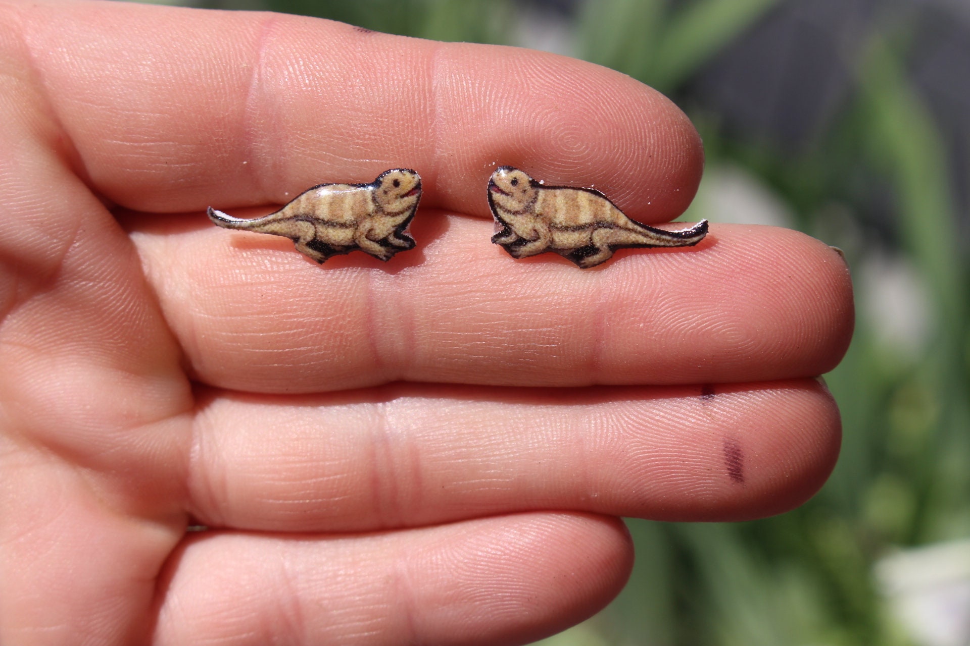 Bearded dragon earrings online