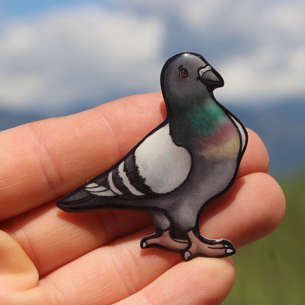 Pigeon magnet: Gift for bird lover, vet techs, veterinarians, zookeepers cute animal magnet for locker and fridge