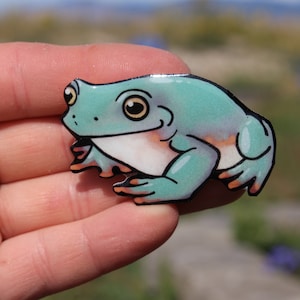 Whites tree frog magnet: Gift for dumpy frog lovers, teachers, vet techs, zookeepers cute animal magnet for locker or fridge