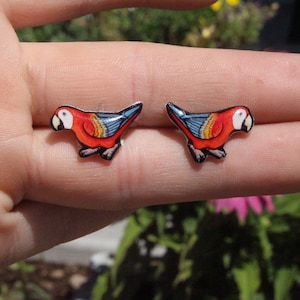 Red Scarlet Macaw Earrings : Stainless steel posts for sensitive ears Great gift for parrot lovers or Bird loss memorial