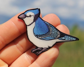 Blue Jay Magnet: Gift for bird lovers, bird watchers, vet techs, zookeepers, veterinarians, cute bird magnets for locker or fridge