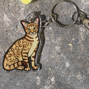 May include: A brown and black tabby cat keychain with a silver key ring and clasp. The cat is sitting with its tail curled around its legs.