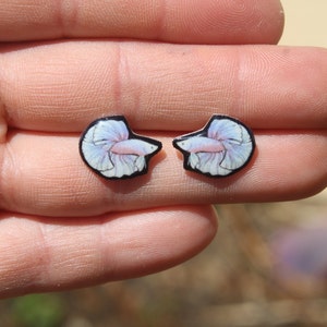 Betta Earring Studs: Gift for fish lovers, vet techs, veterinarians, zookeeper's cute earrings with Stainless Steel Posts