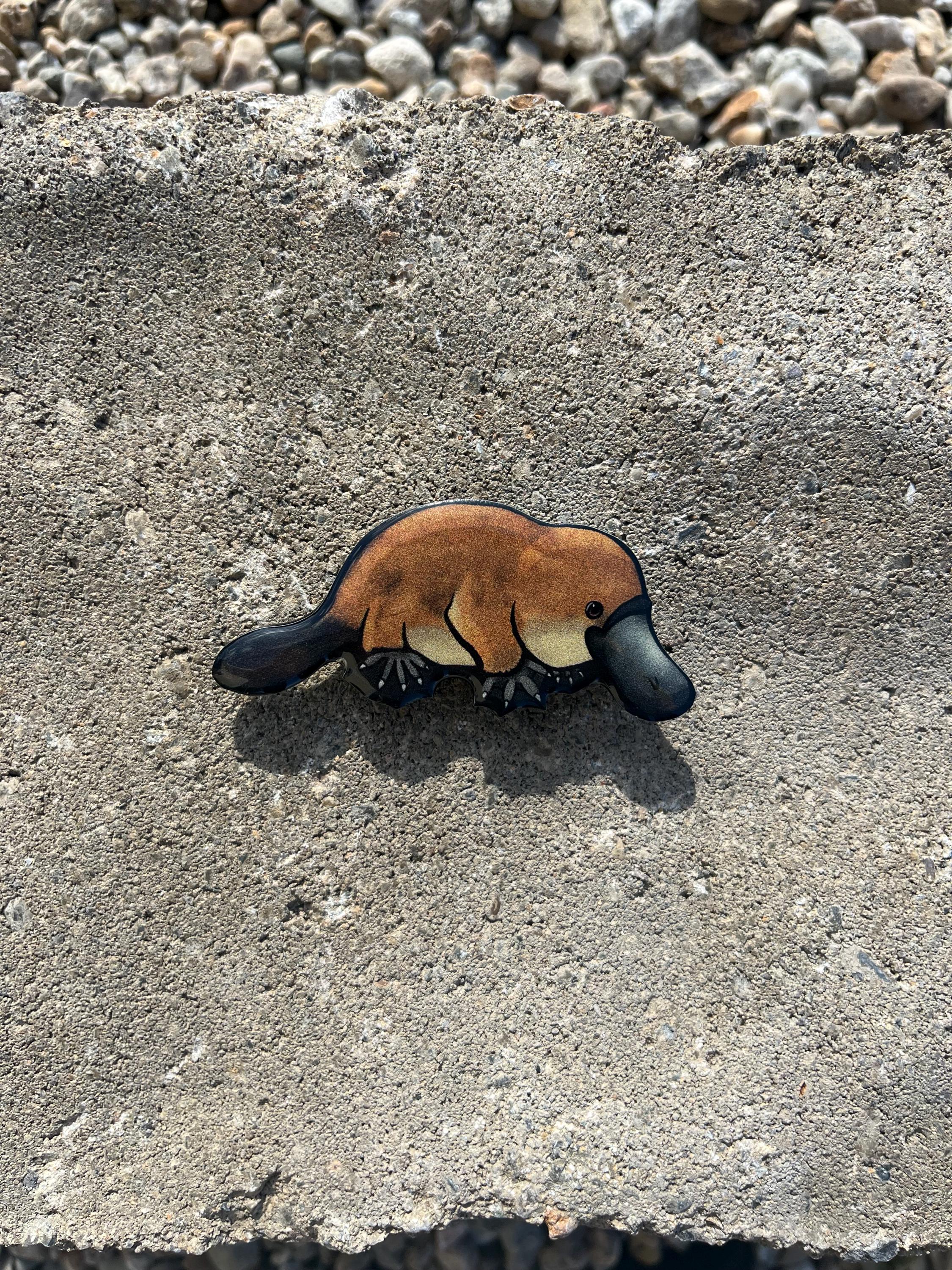 Platypus Magnet: Gift for Animal Lovers, Vet Techs, Zookeepers
