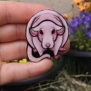 Hairless Dumbo Rat Magnet: Gift for Rat lover or Rat loss memorial Cute animal magnets for  locker or fridge