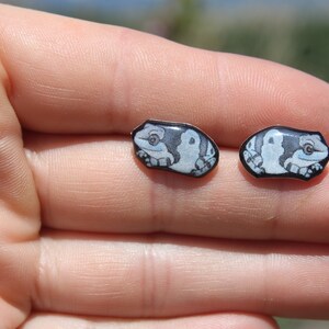Milk Frog Earring Studs: Gift for frog lovers, vet techs, veterinarians, zookeeper's cute earrings with Stainless Steel Posts
