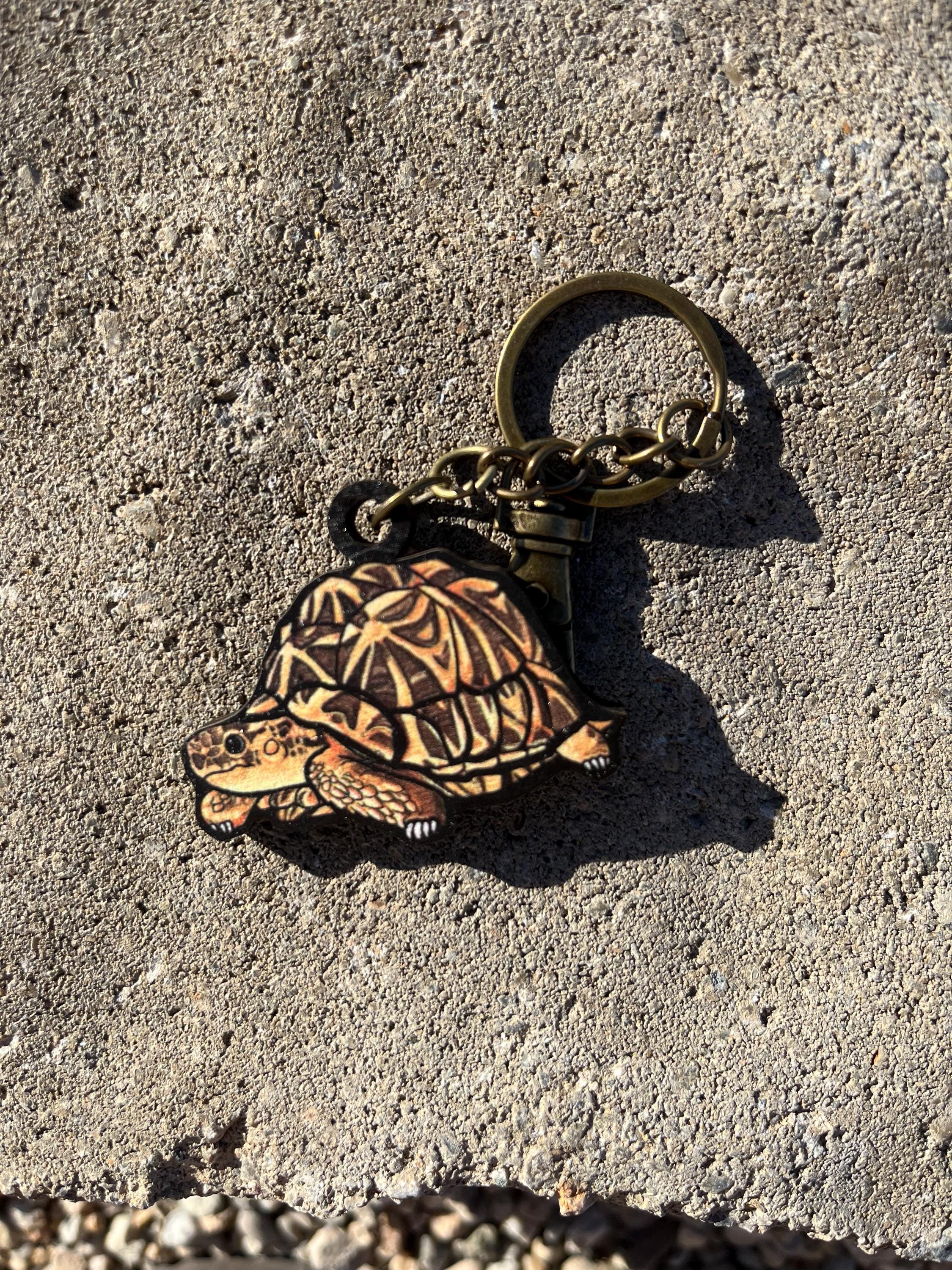Wood Indian Star Tortoise Keychain: Gift for Turtle Animal Lovers