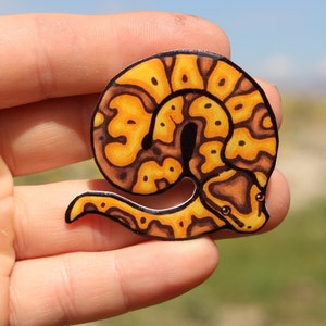 Ball Python Magnet: Gift for reptile snake lovers, teachers, vet techs, zookeepers,  or snake loss cute animal magnets for locker or fridge
