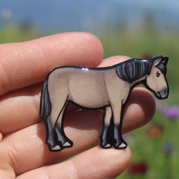 Horse Magnet: Gift for horse lovers, farmers, vet techs, veterinarians, teacher's cute animal magnets for locker or fridge