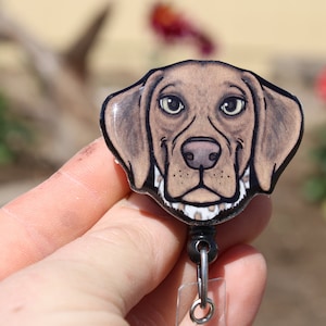 May include: A brown and white dog head badge reel with a black border. The dog has a brown nose and black eyes.