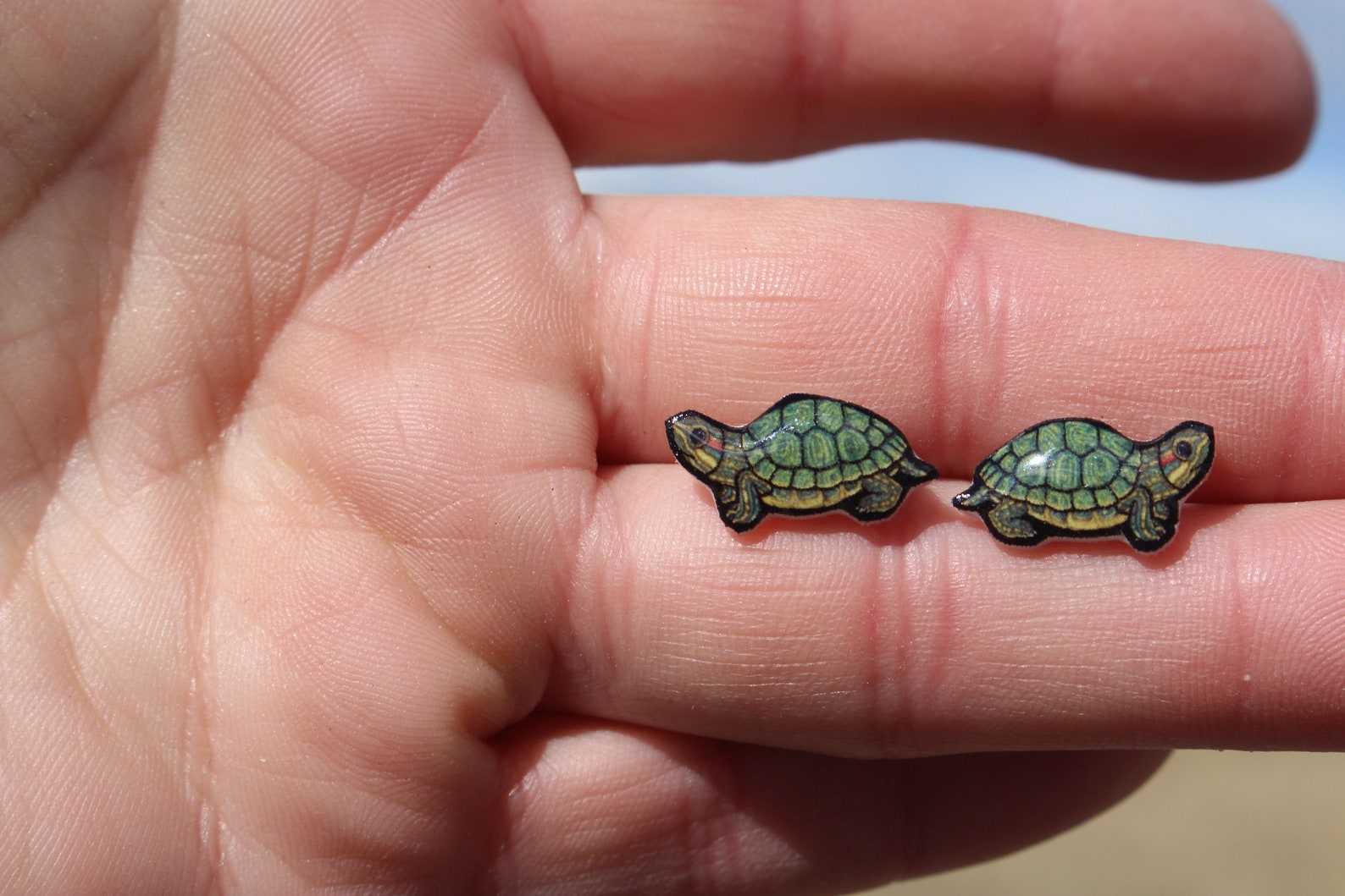 Turtle Stud Earrings Gift for Red Ear Slider Lovers Teacher Etsy