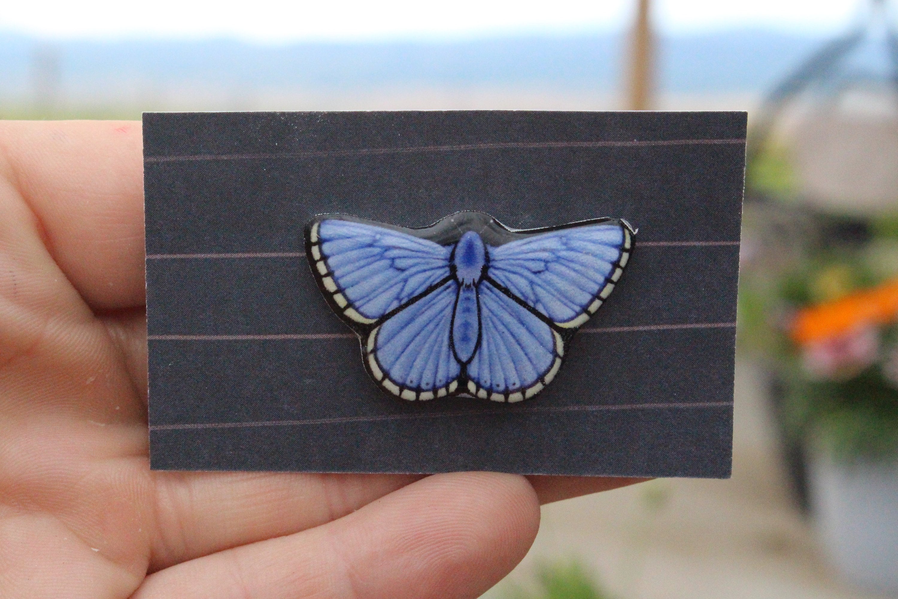 Common Blue Butterfly Pin Great gift for Garden lovers or Etsy