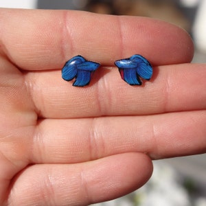 Blue Betta Earrings : Stainless steel posts for sensitive ears Great gift for Blue Betta lovers or Betta loss memorial