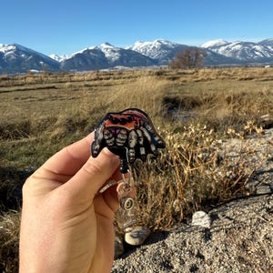 May include: A badge reel featuring a colorful spider design with orange, pink, and black accents. The badge reel has a clear plastic holder and a retractable cord. The background shows a scenic view of mountains and a blue sky.