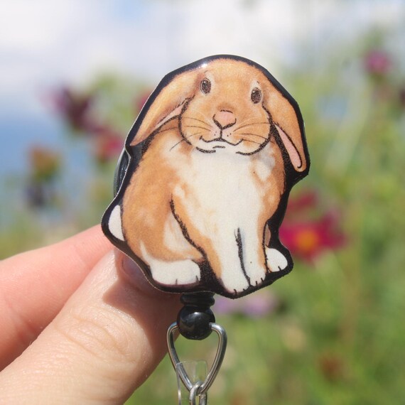 Immagine di Rabbit Reel