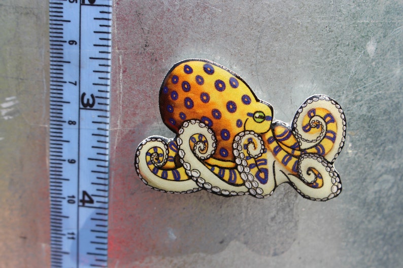 Blue-ringed Octopus Magnet Gift for octopus Lovers Cute ocean animal Magnets for locker or fridge image 2