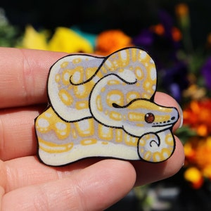 Ball Python Magnet Gift for snake lover or albino ball python loss memorial Cute animal magnets for  locker or fridge