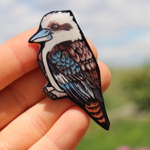 Op de afbeelding: Een blauwe en bruine kookaburra-vogelspeld met een witte kop en zwarte ogen. De speld is gemaakt van hars en heeft een glanzende afwerking.