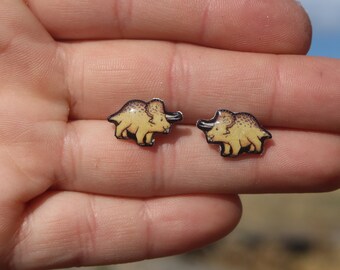 Triceratops Earring studs: Gift for Dinosaur lovers, vet techs, veterinarians or zookeepers animal earrings stainless steel posts