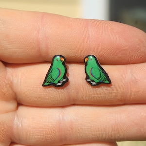 Eclectus Parrot Bird Stud Earring: Gift for animal lovers, vet techs, veterinarians, zookeeper's cute earrings with Stainless Steel Post
