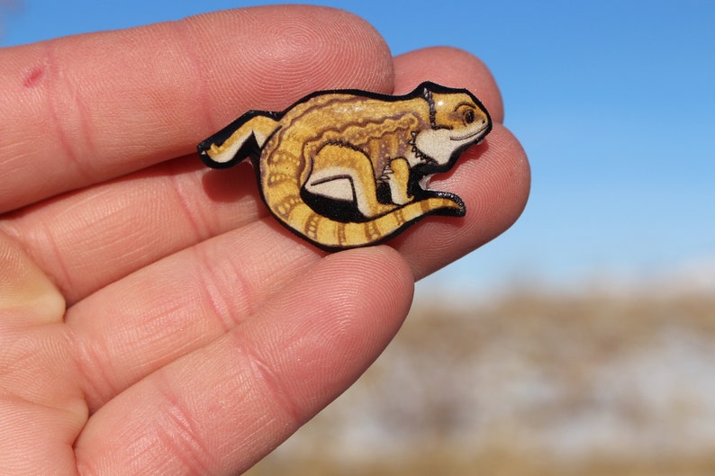 Bearded Dragon Pin Great gift for lizard reptile lovers vet Etsy