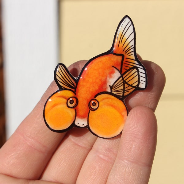 Bubble eye Goldfish Magnet: Gift for fancy goldfish lovers, vet techs, veterinarians, zookeepers cute animal magnets for locker or fridge