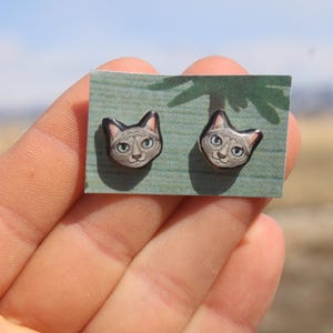 Tabby Cat Stud Earrings: Gift for cat animal lovers, vet techs, veterinarians, zookeeper's cute earrings with Stainless Steel Posts