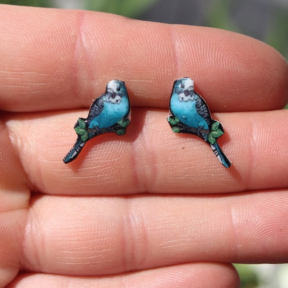 Parakeet Budgie Earrings Stainless Steel Posts for Sensitive Ears Great Gift for Budgie Lover Bird Loss Memorial Etsy